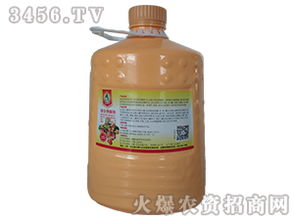 果丰与诺倍丰 探索微生物菌剂的田间奇迹