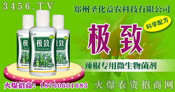 辣椒烂根、早衰、畸形怎么办？辣椒专用微生物菌剂助你丰收无忧