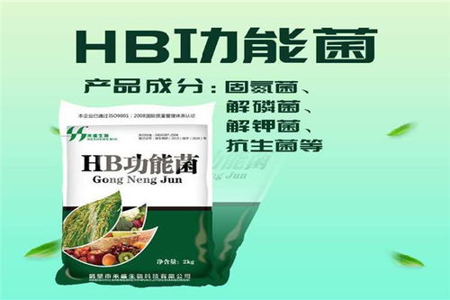 生物有机肥发酵菌剂供应厂家许昌市