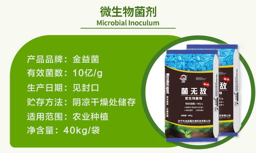 辣椒专用微生物菌剂——金益菌生物科技引领生物菌剂新趋势
