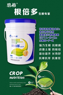 大棚蔬菜增产 微生物菌剂与生物菌剂的科学应用指南