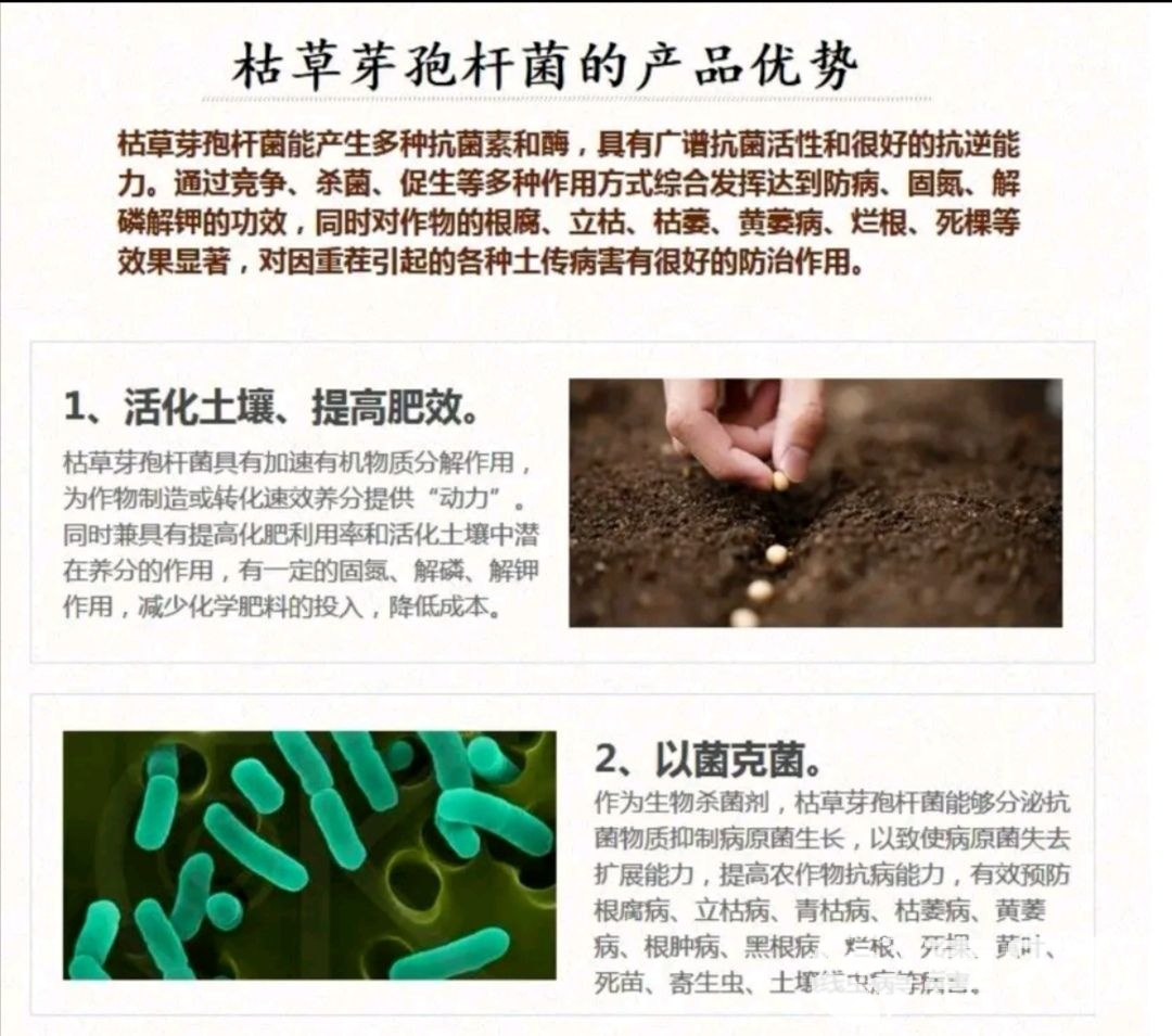复合微生物菌剂 微生物菌剂枯草芽孢杆菌增根壮苗瓜果蔬菜药材专用绿色无公害