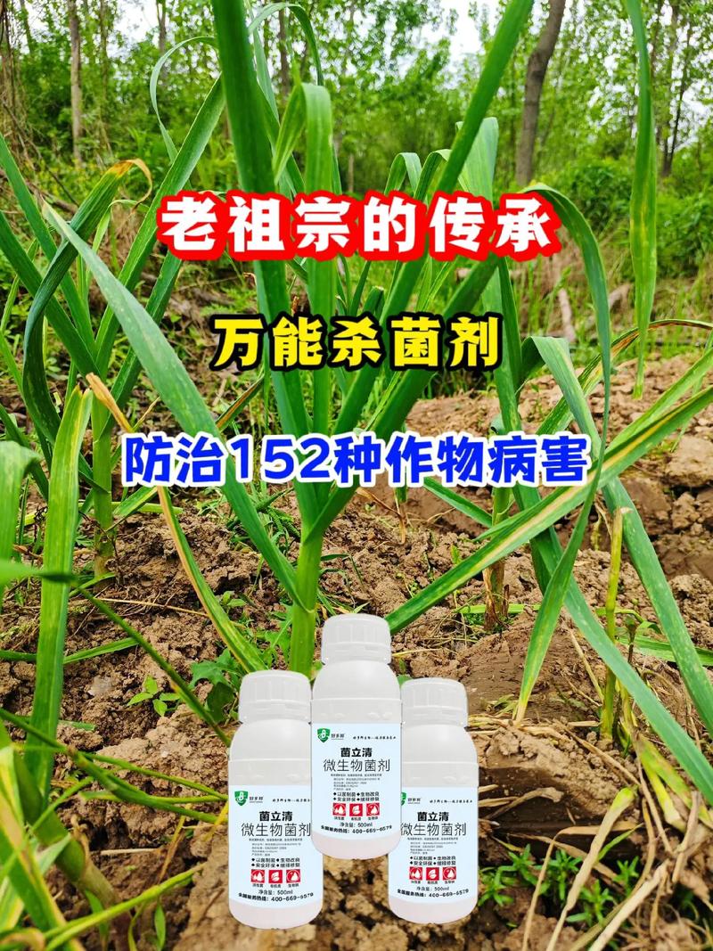 专治作物各种病害#微生物菌肥 #好物推荐
