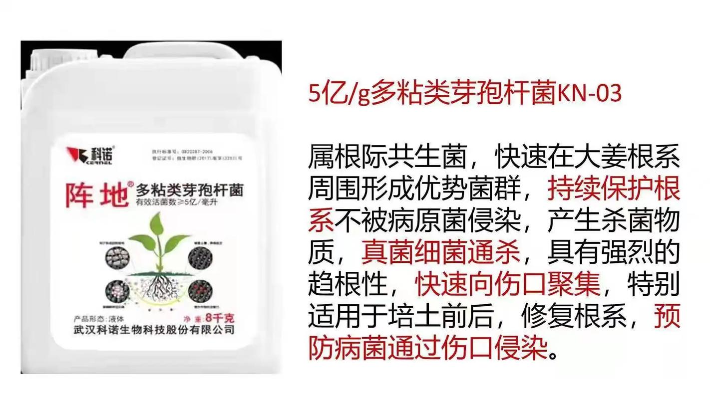 武汉科诺微生物菌剂水冲,预防死棵烂苗,促进生根,改良土壤,保