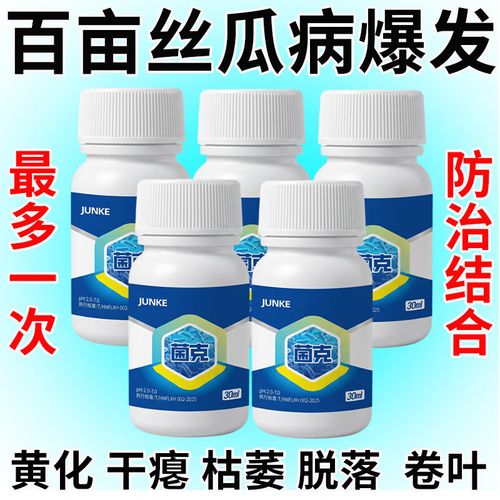 丝瓜病害防治全攻略 专用微生物菌肥配合生物菌剂，告别黄叶、炭疽、叶枯、霜霉问题